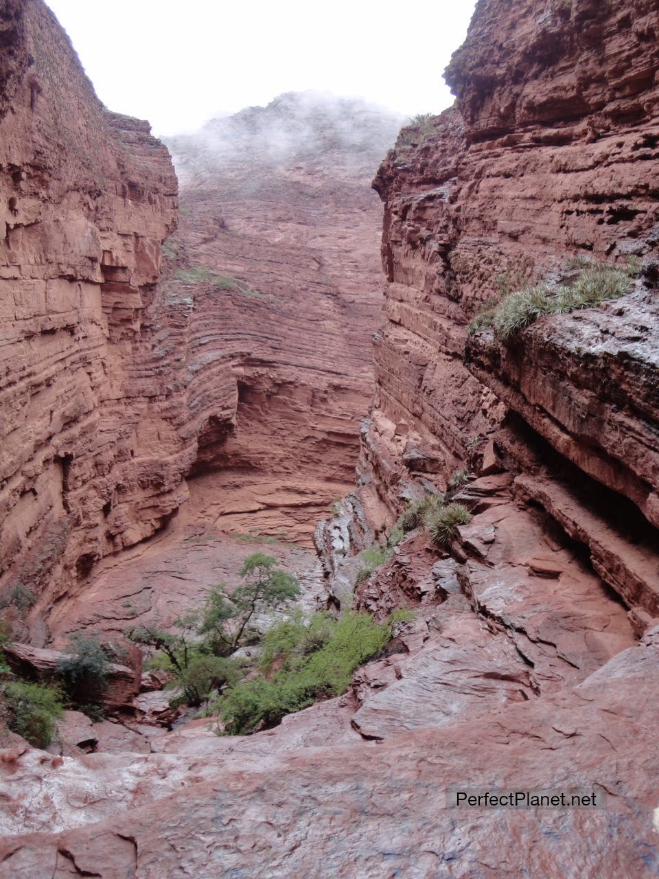 Quebrada de las Conchas