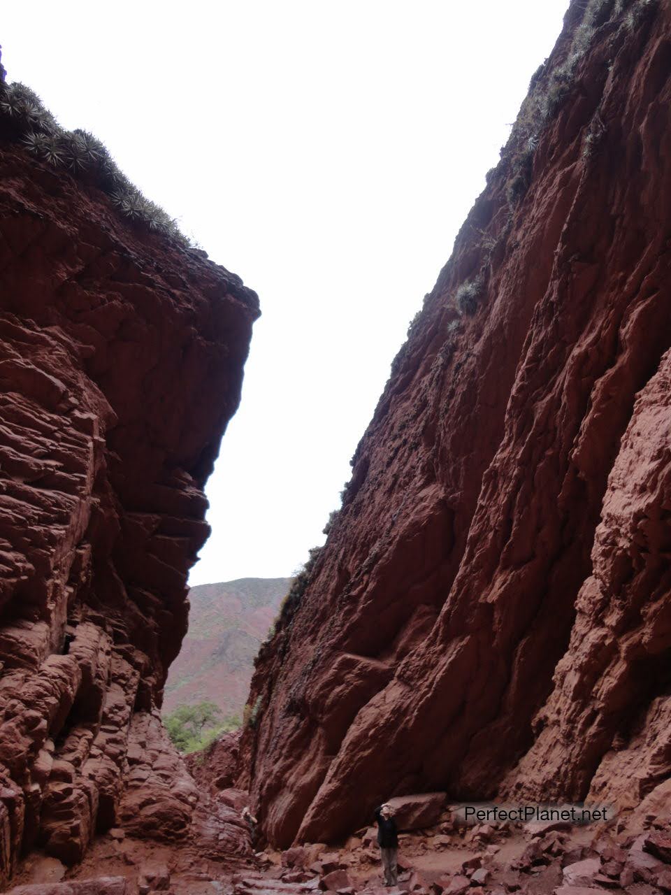 Quebrada de las Conchas