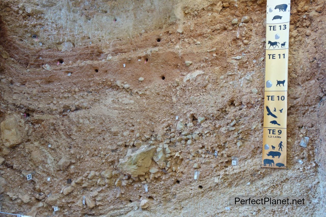 Atapuerca Sites