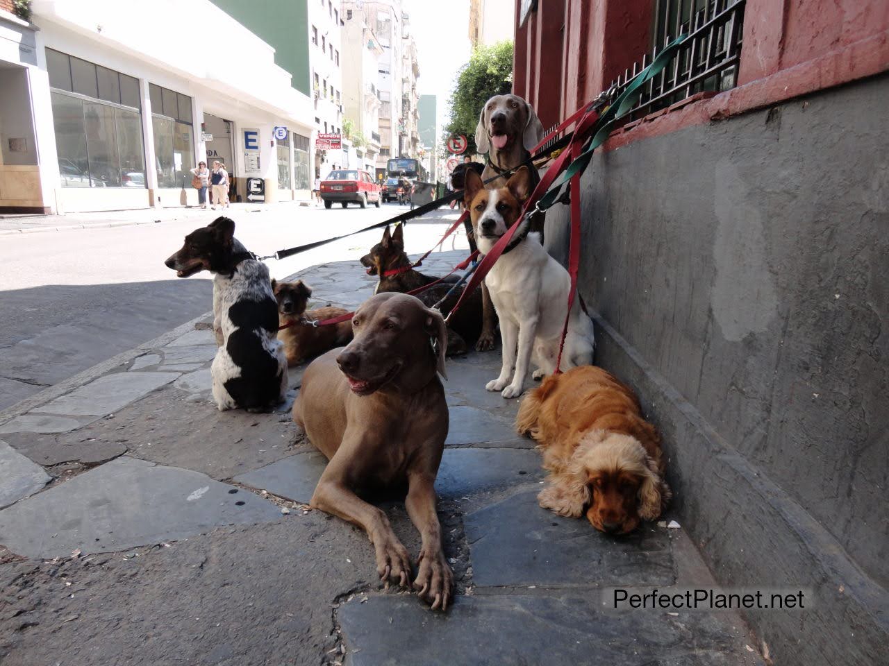 Barrio de San Telmo