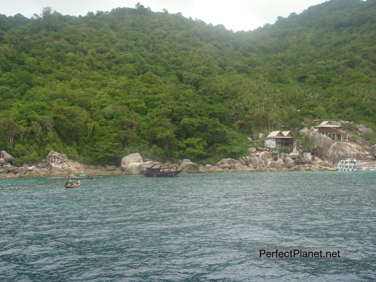 Ko Tao