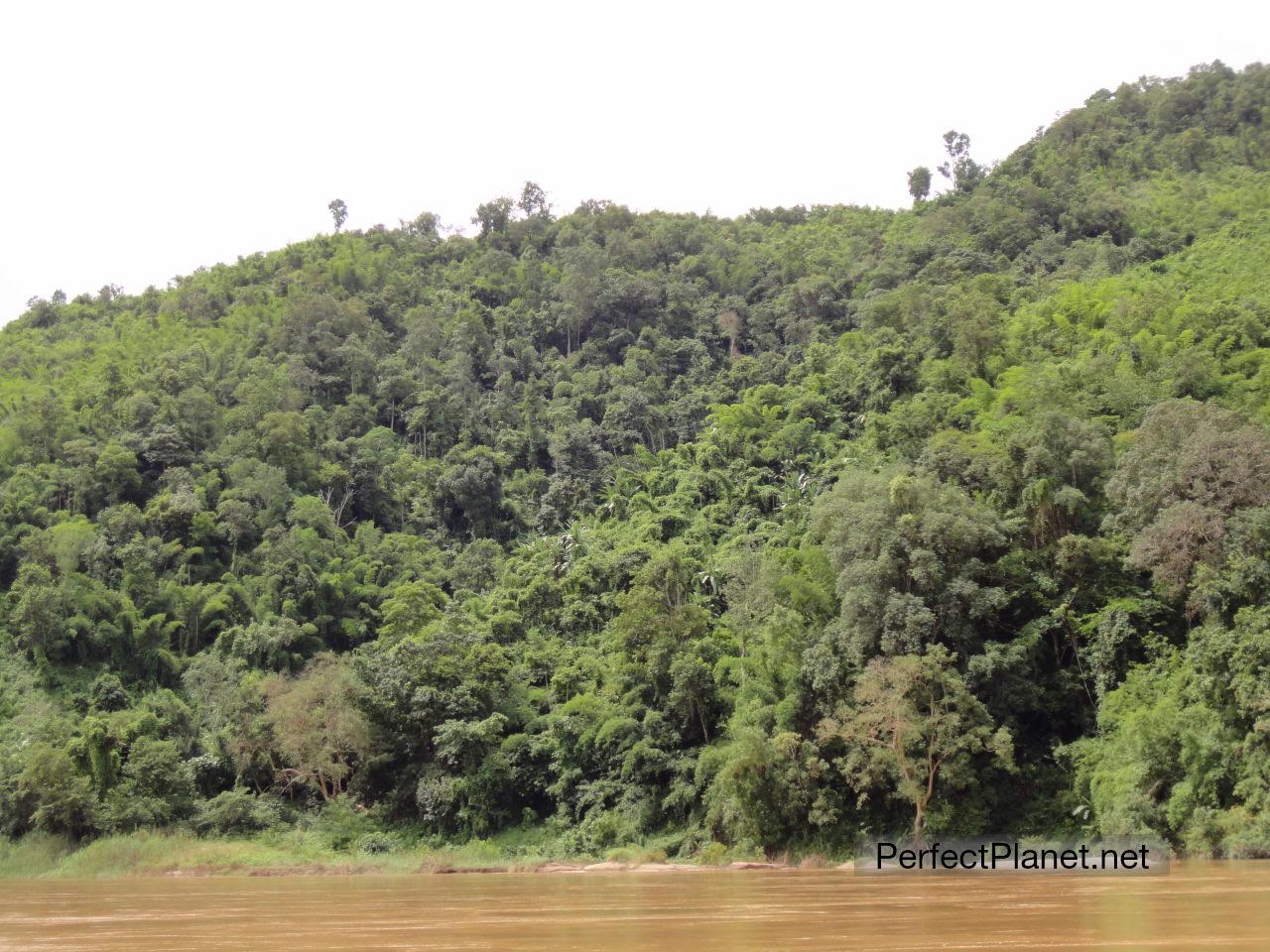 Río Mekong