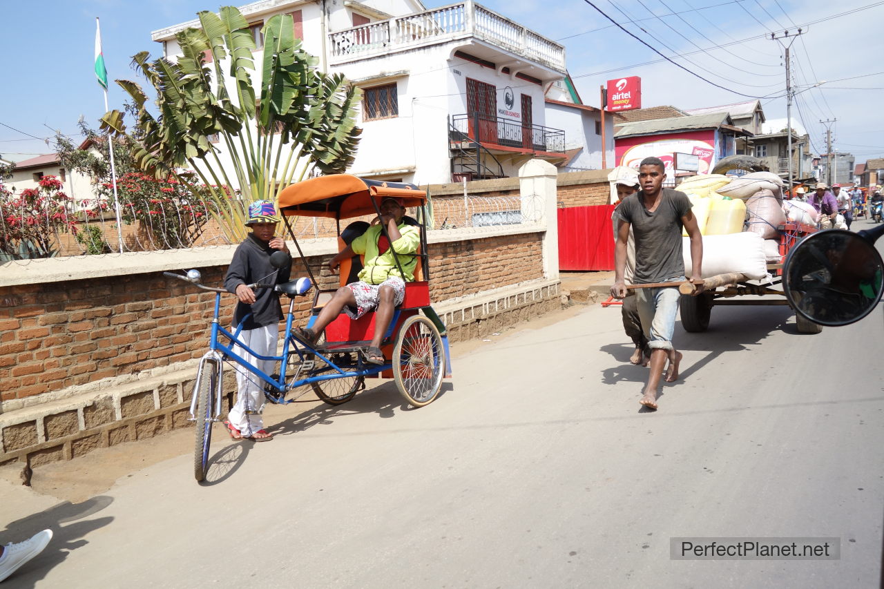 Bike pousse pousse