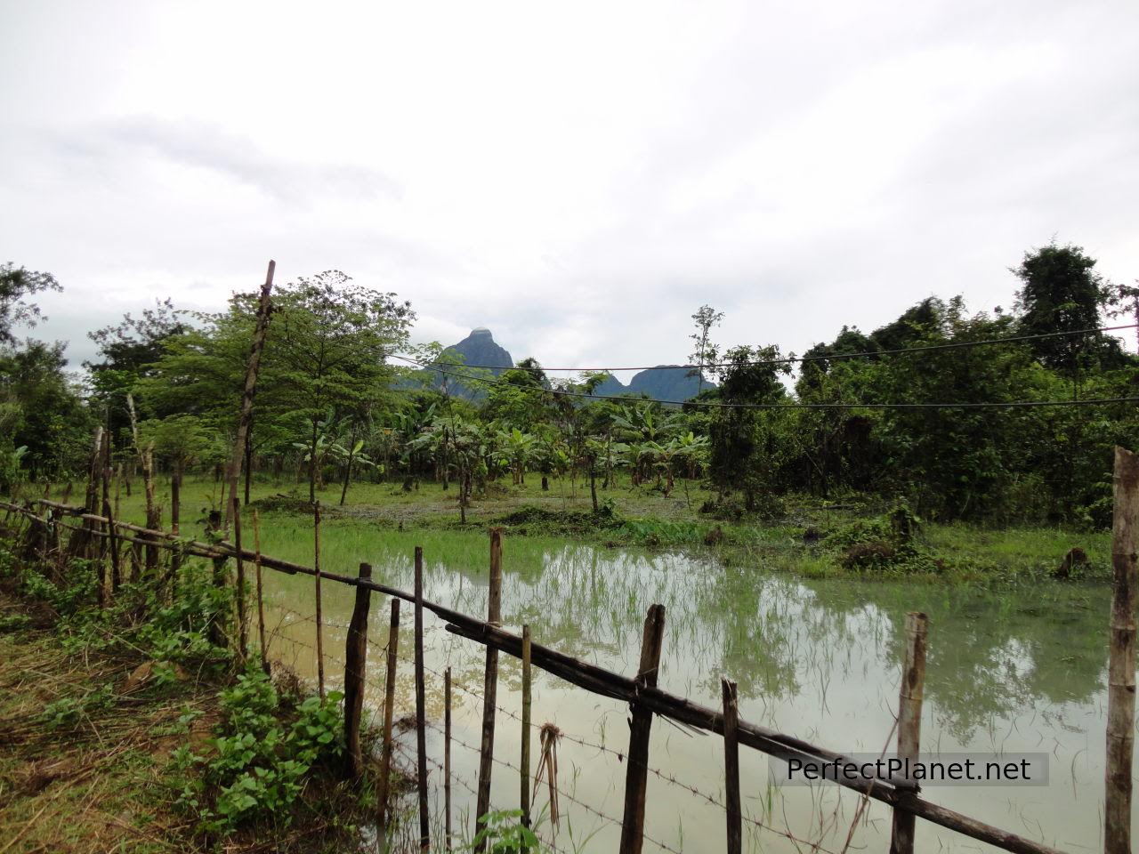 Alrededores de Tham Phu Kham