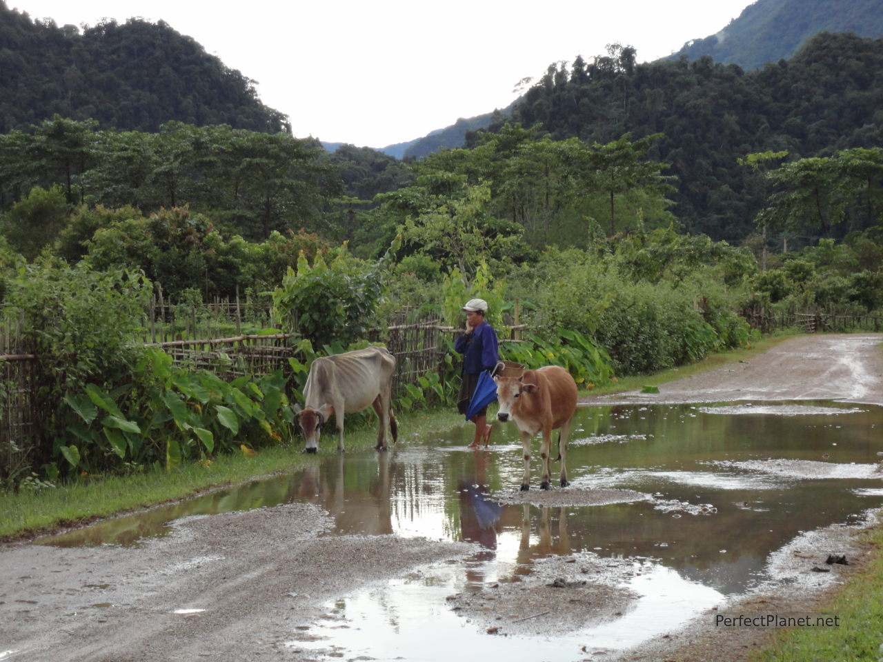 Vang Vieng