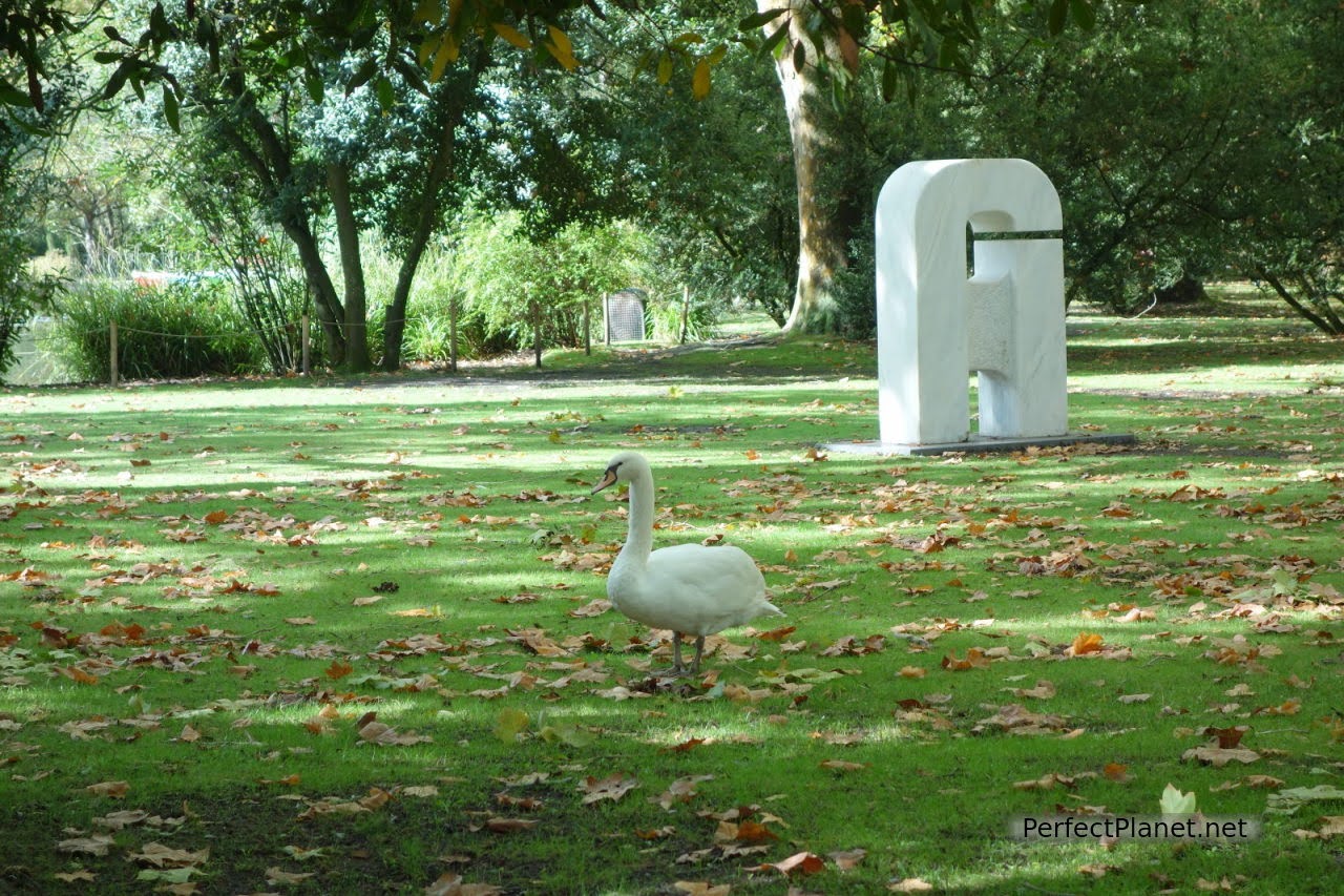 Parque dom Carlos I