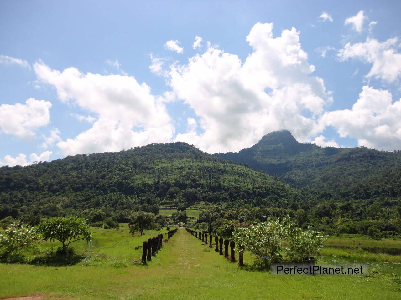 Vat Phu Champasak