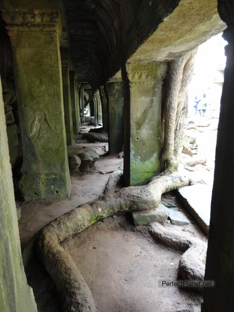 Ta Prohm