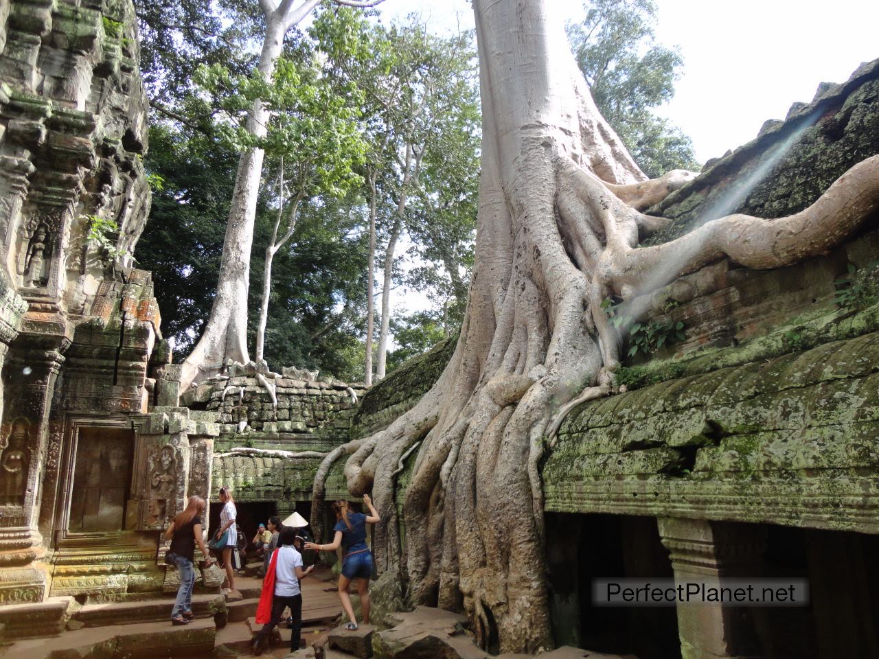 Ta Prohm