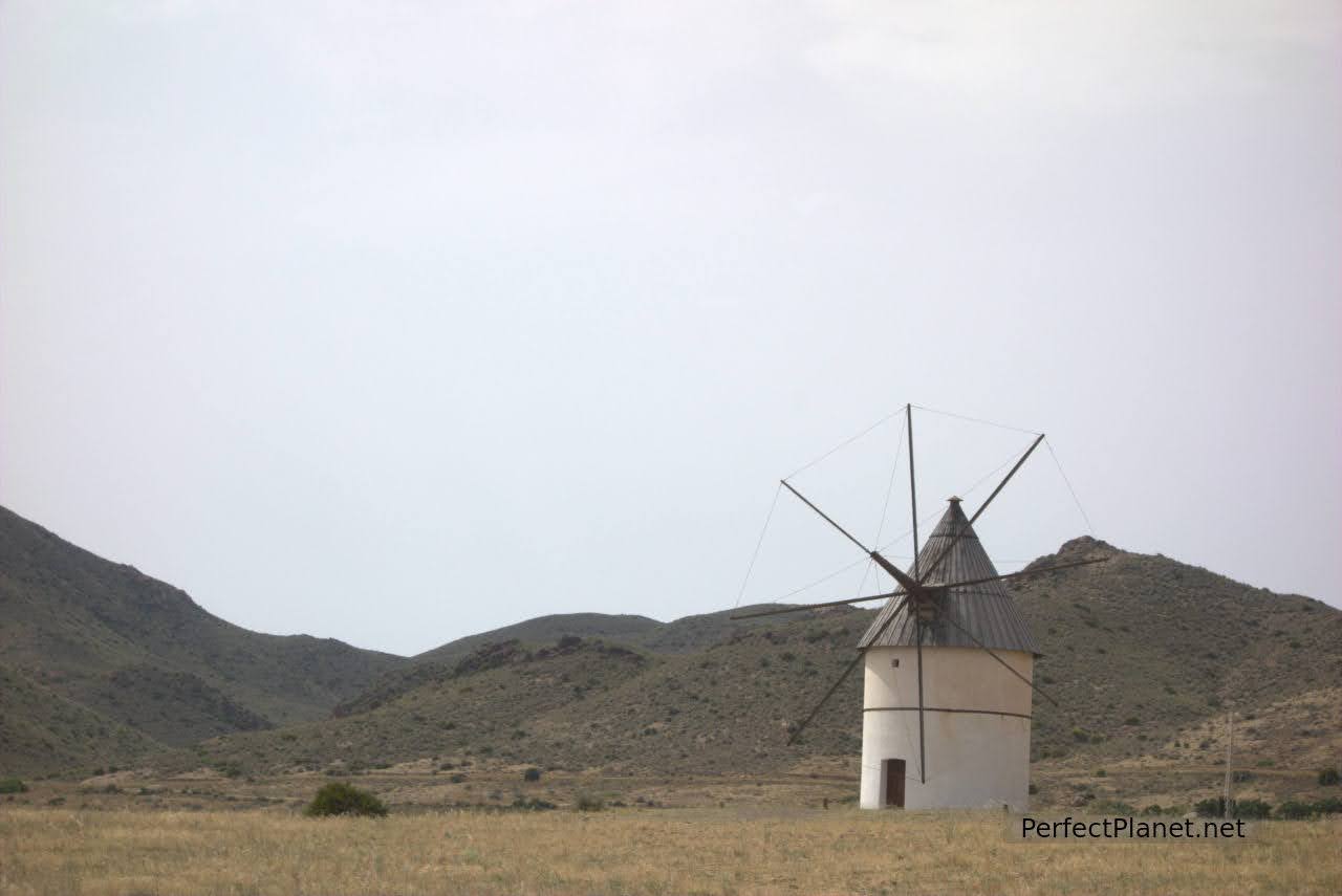 Windmill