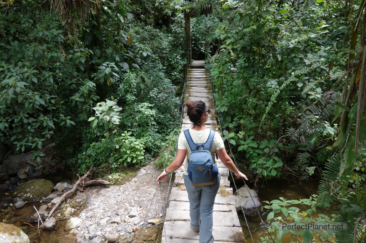 Valle de Cocora