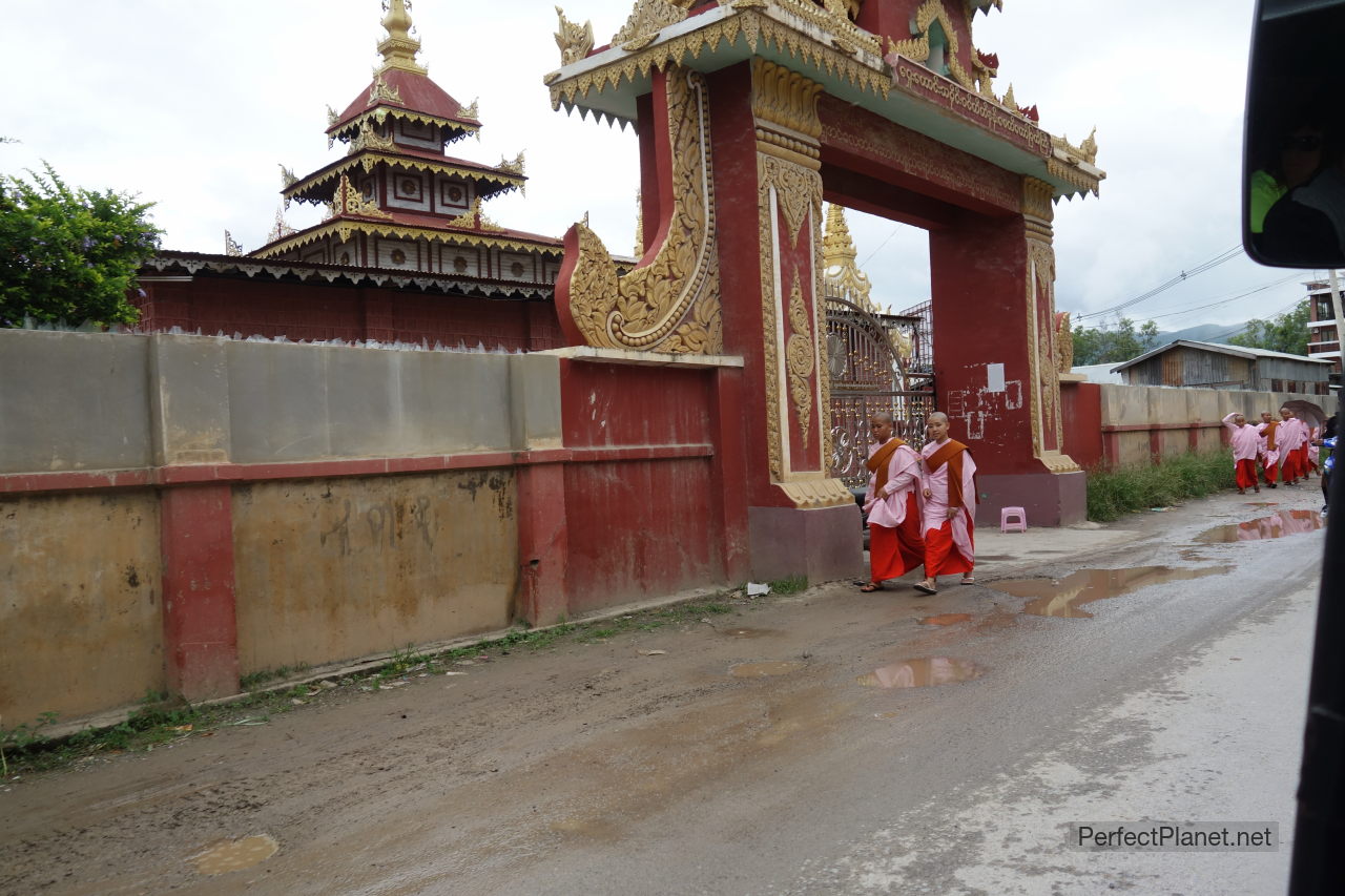 Buddhist nuns