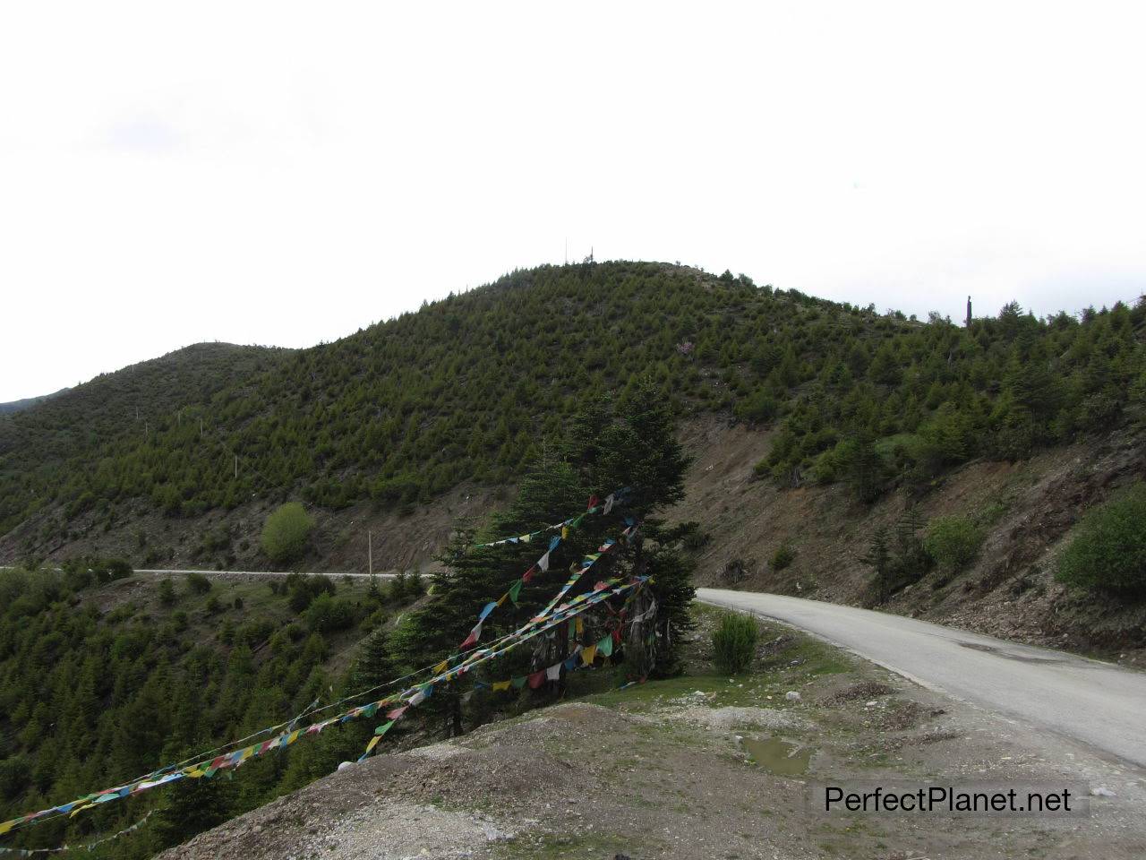 De camino a Shangri La