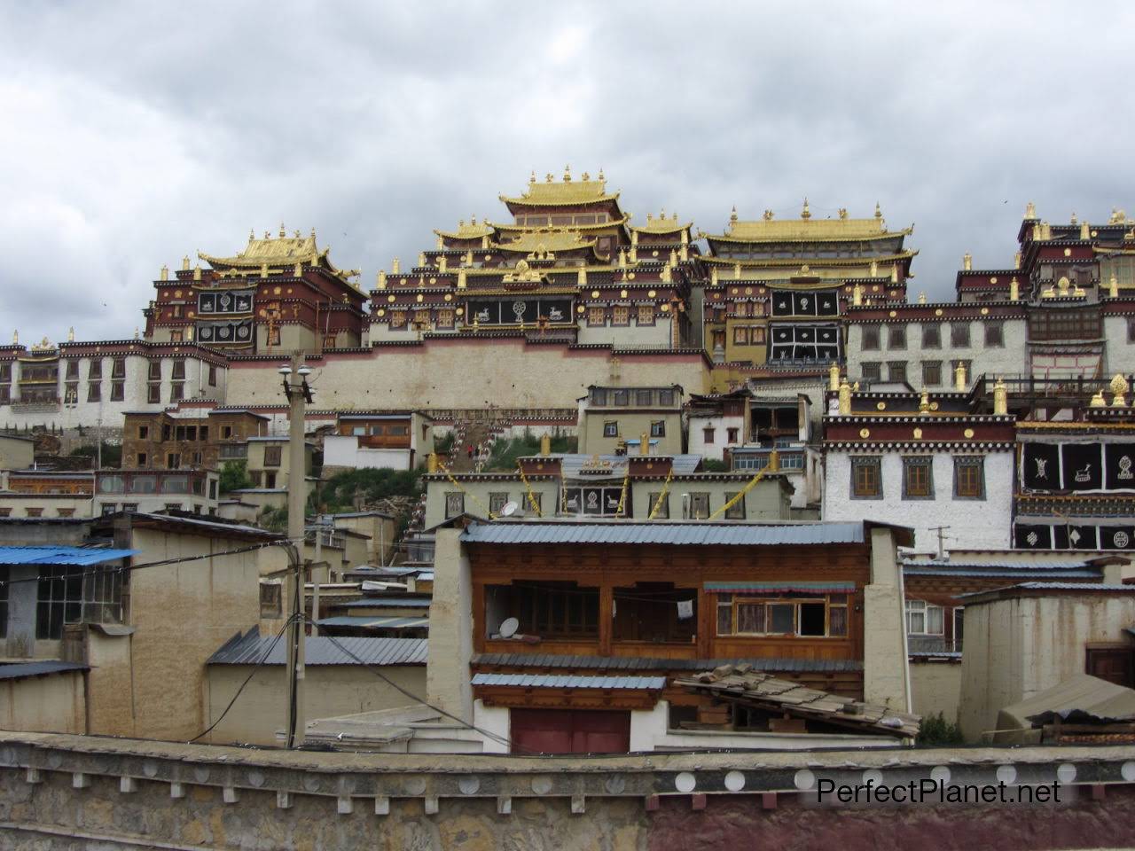 Tibetan Monastery of Ganden Sumtseling