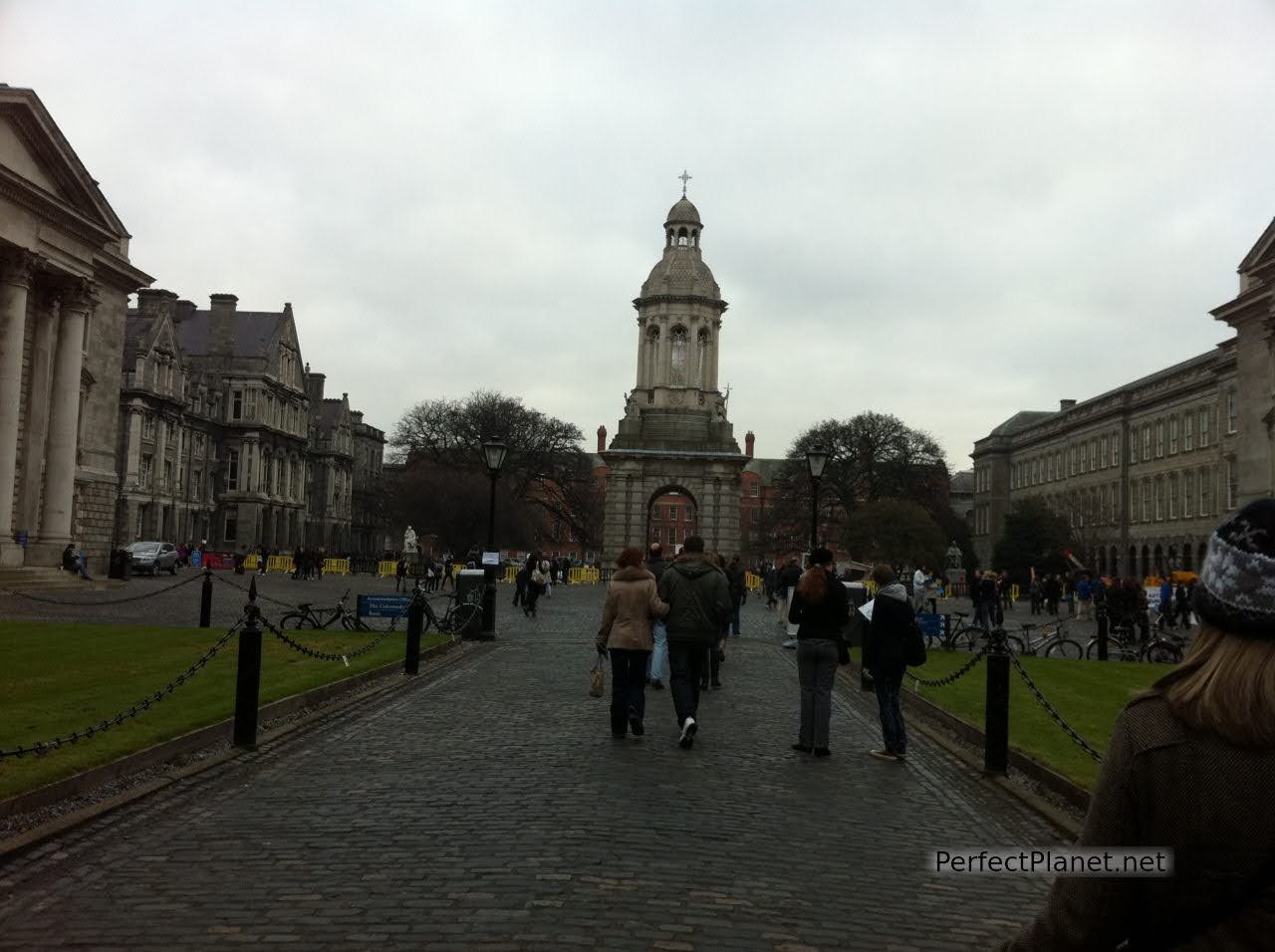 The Trinity College 