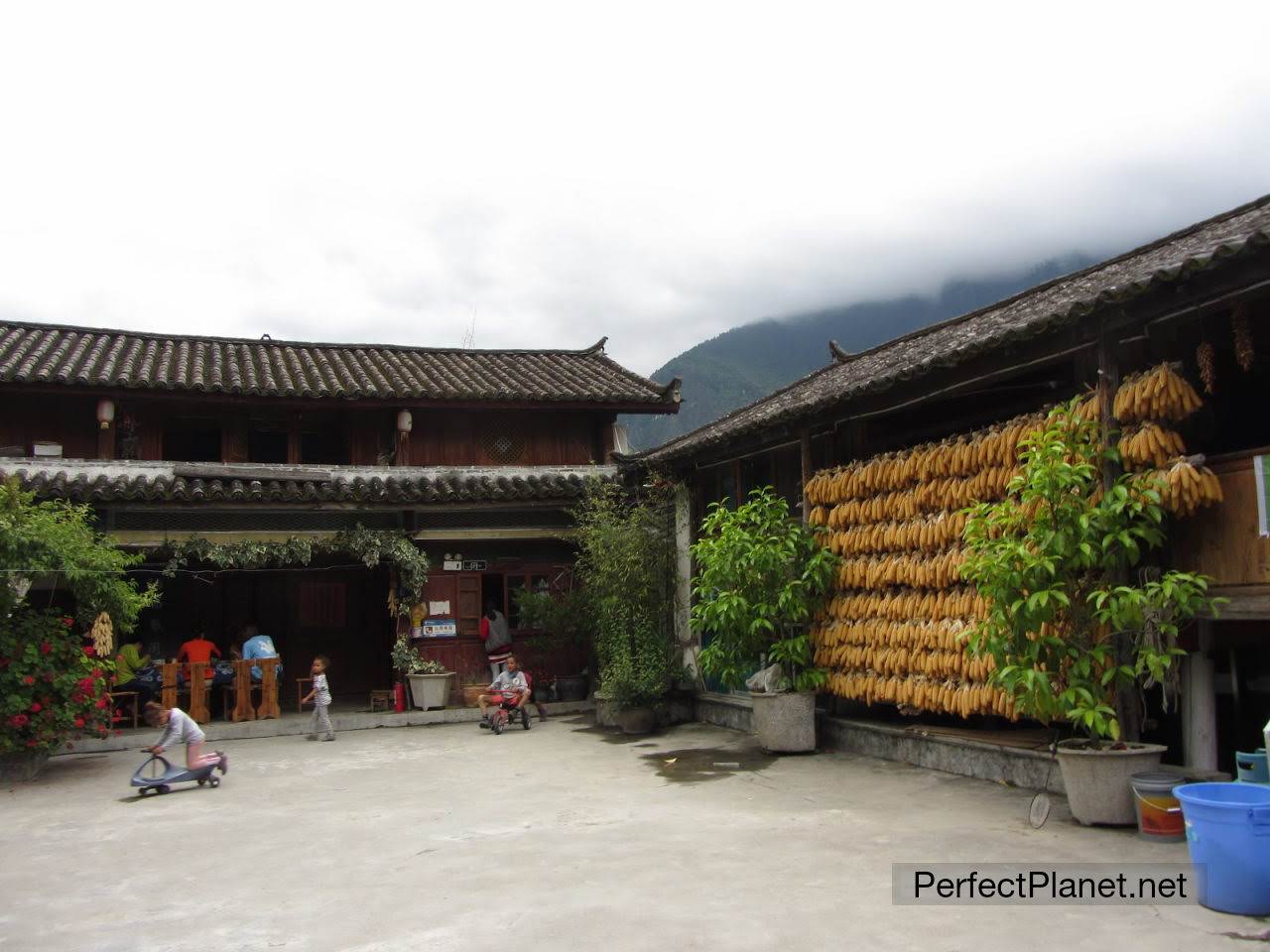 Naxi Family Guest House