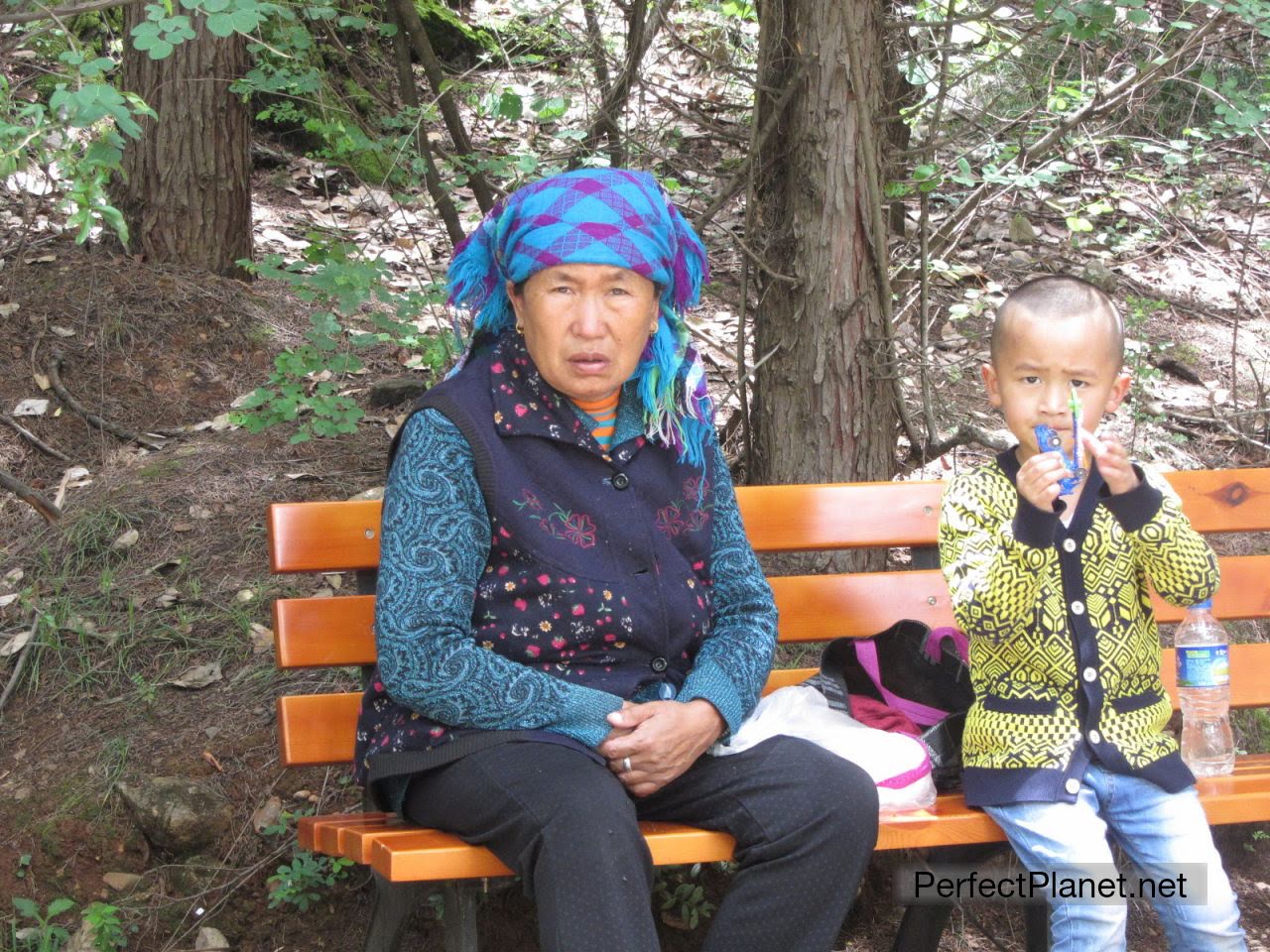 Woman and child sitting on a bench