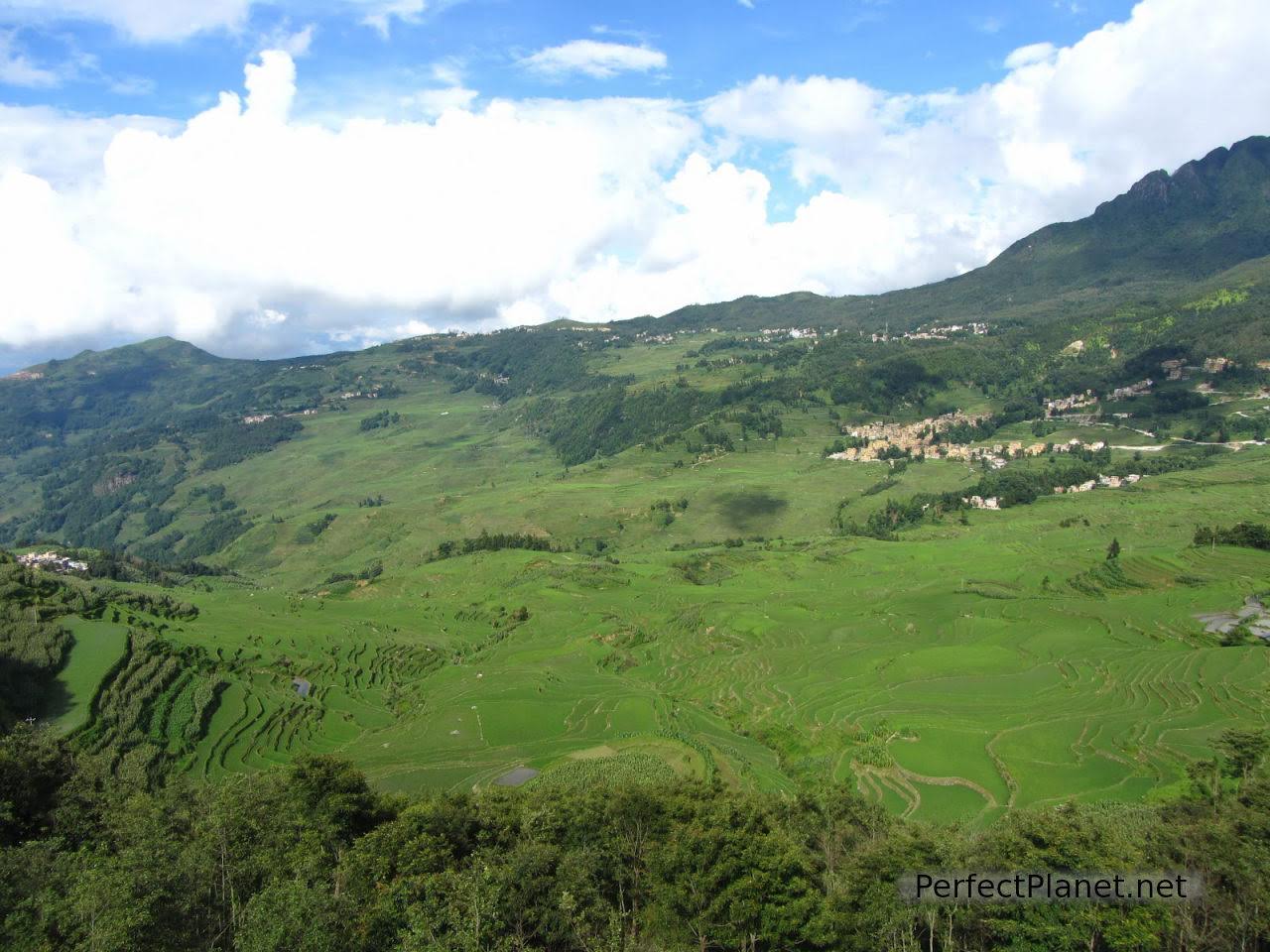 Terrazas de arroz de Yuanyang