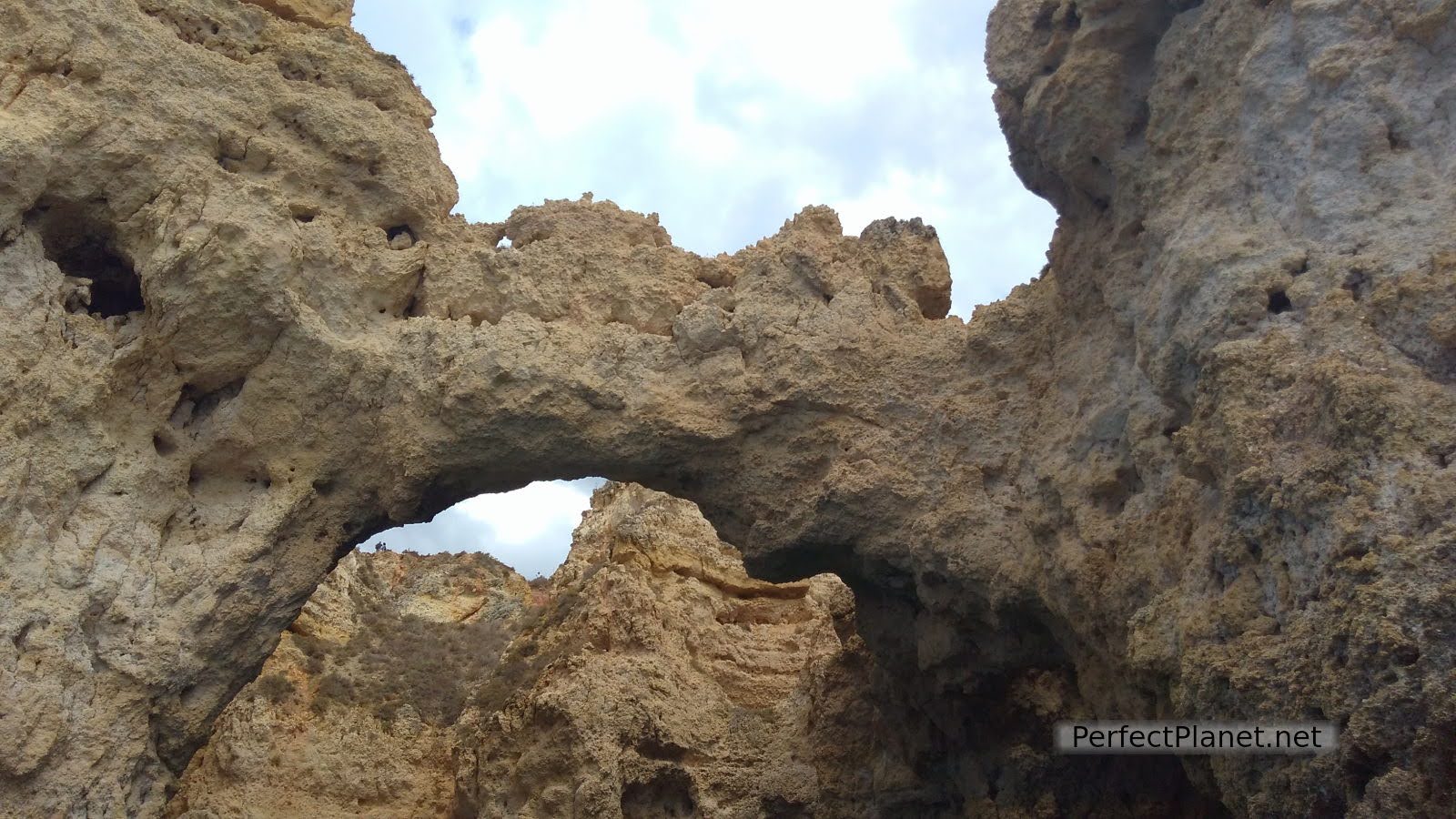 Nature arches