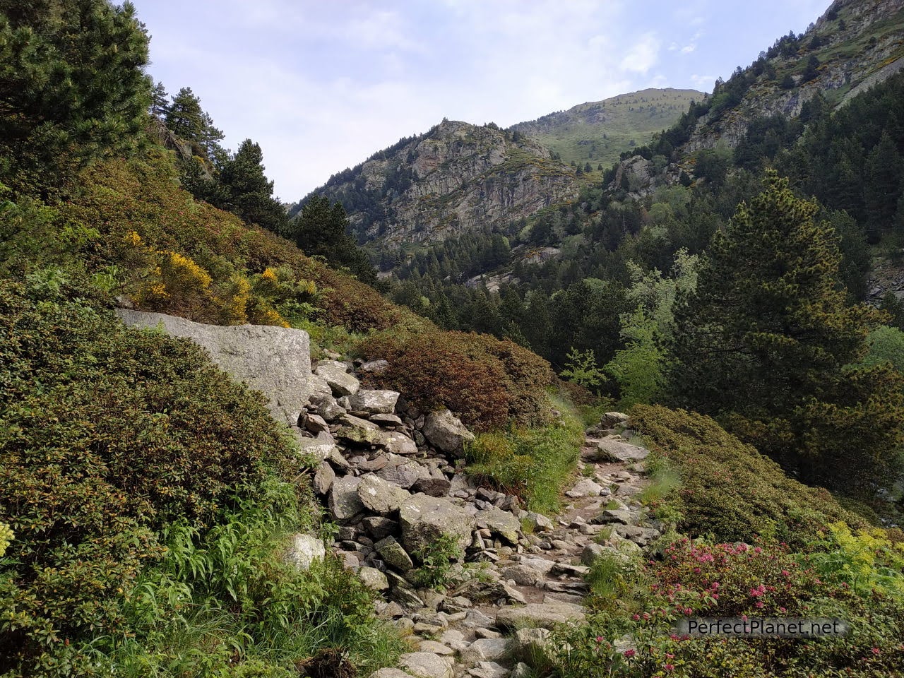 Gorges de Núria