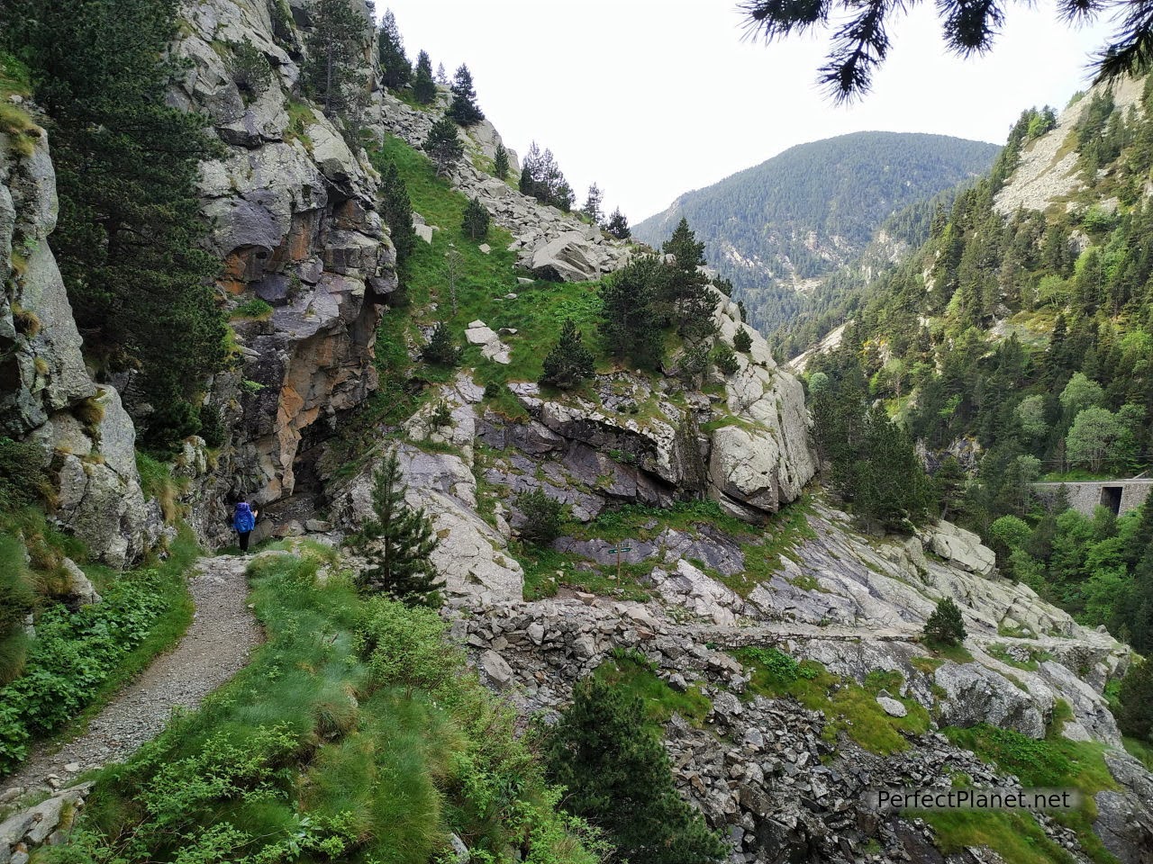 Núria Gorges