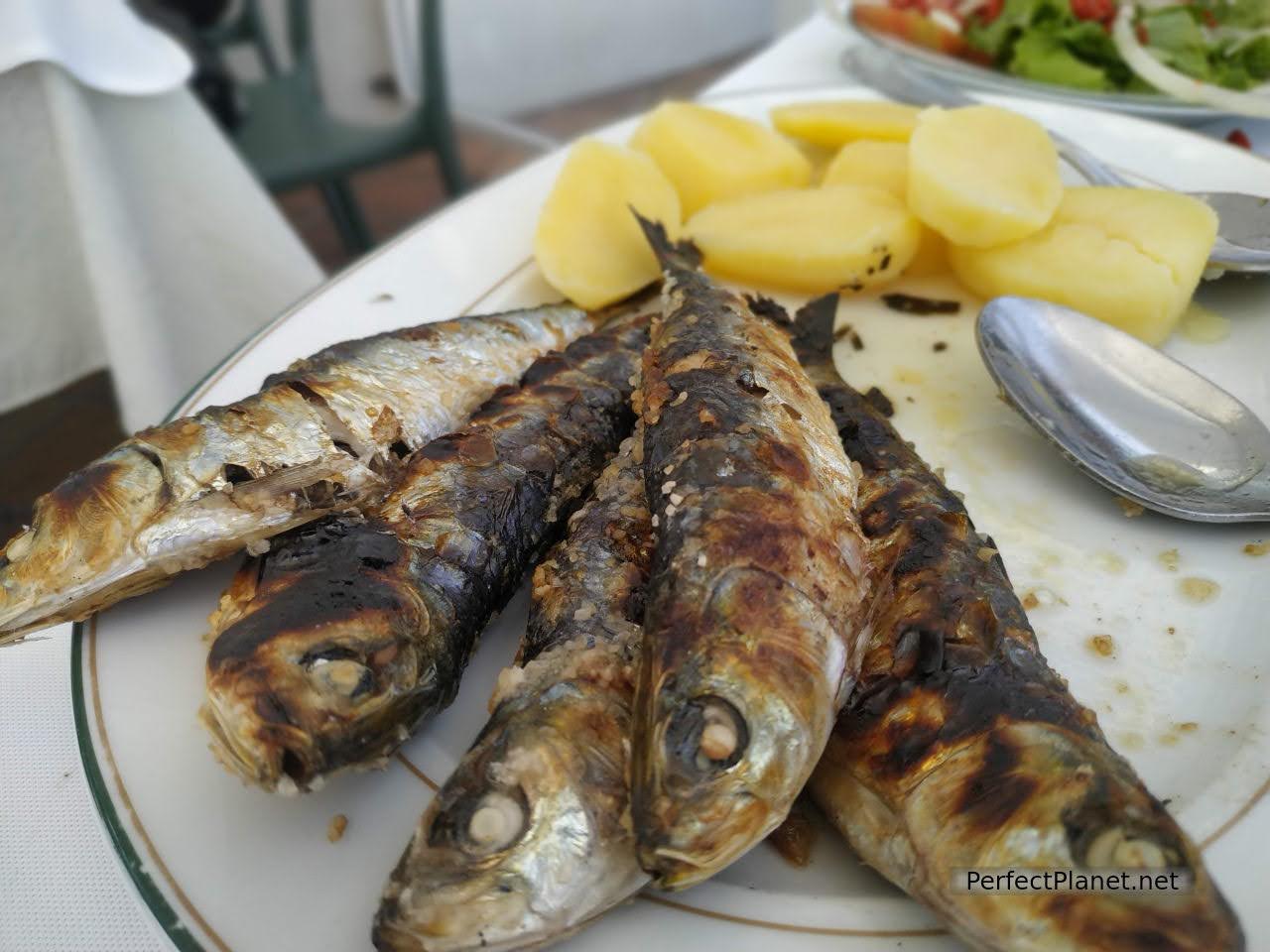 Sardinas