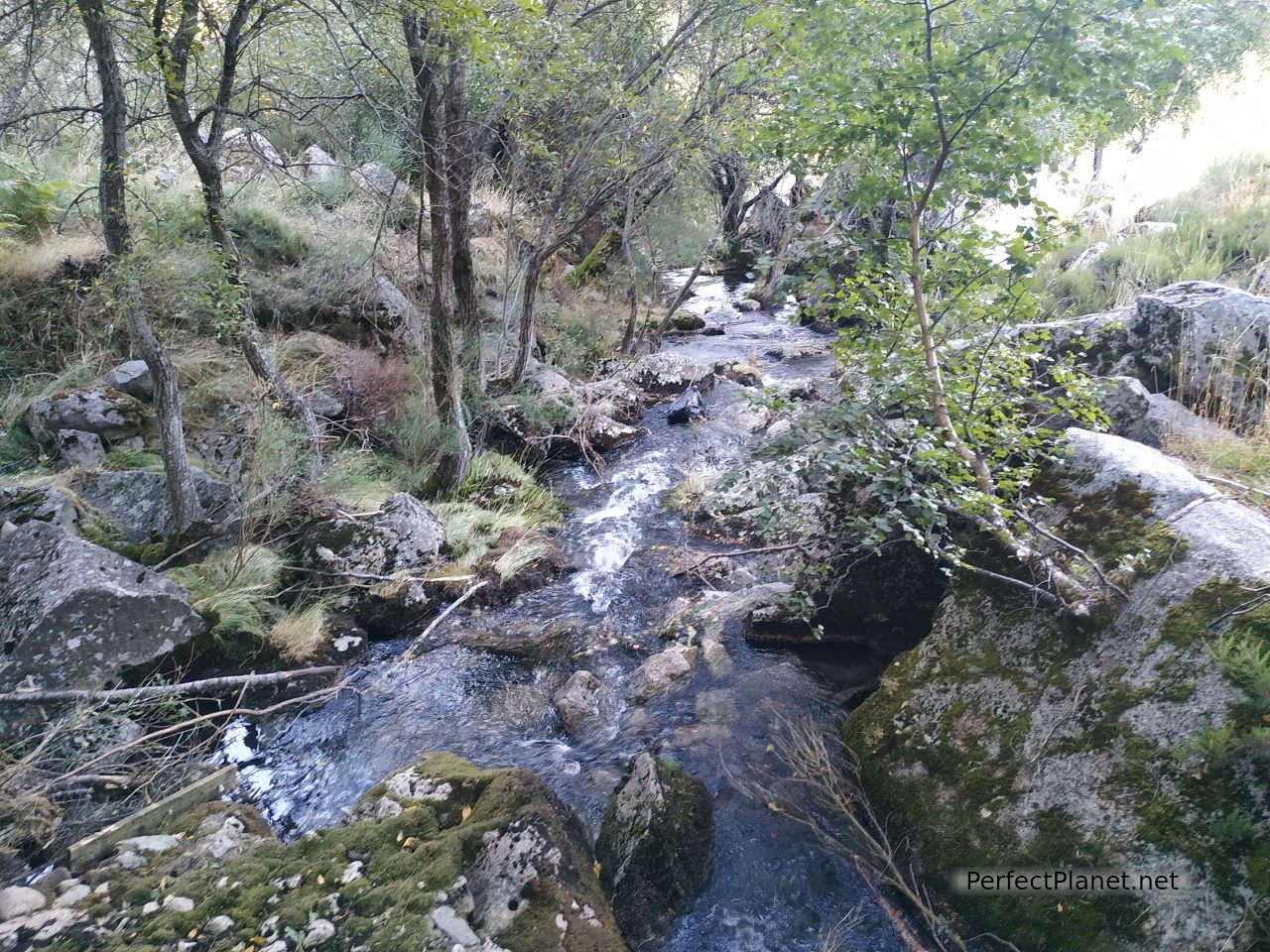 Covao d´Ametade