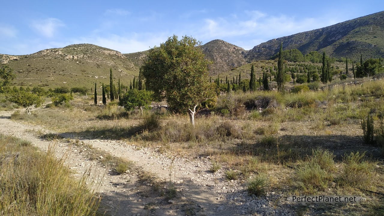 Landscape to Cala del Plomo by the path