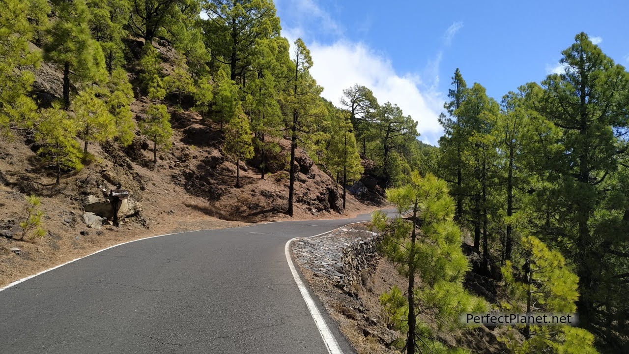 Carretera de los Barrancos