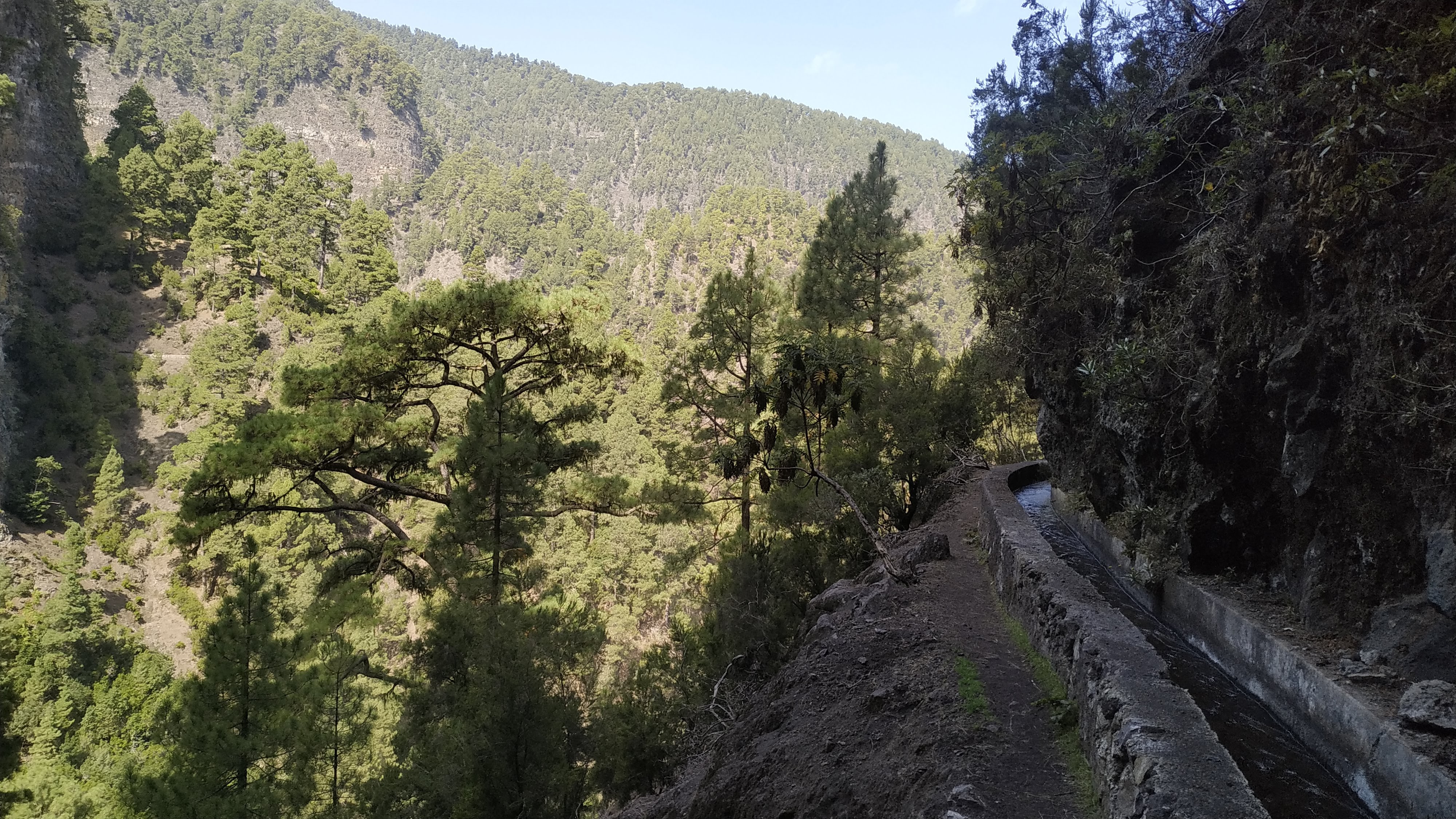 Nacientes de Marcos y Cordero