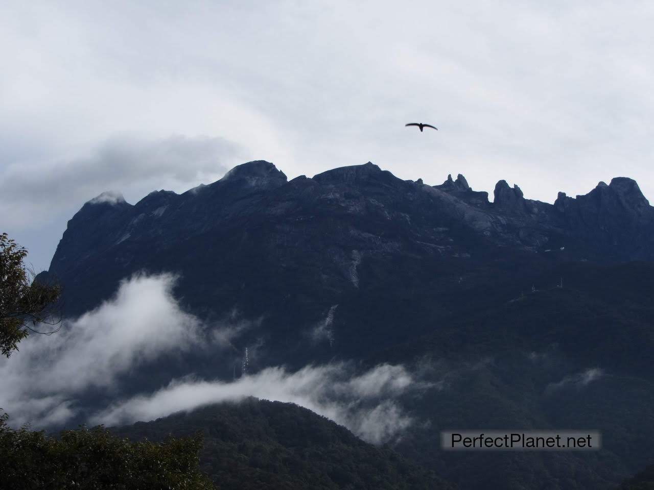 Monte Kinabalu