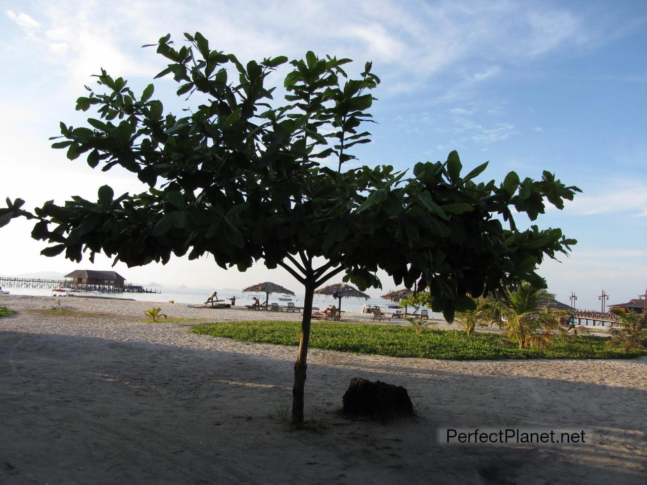 Mabul beach