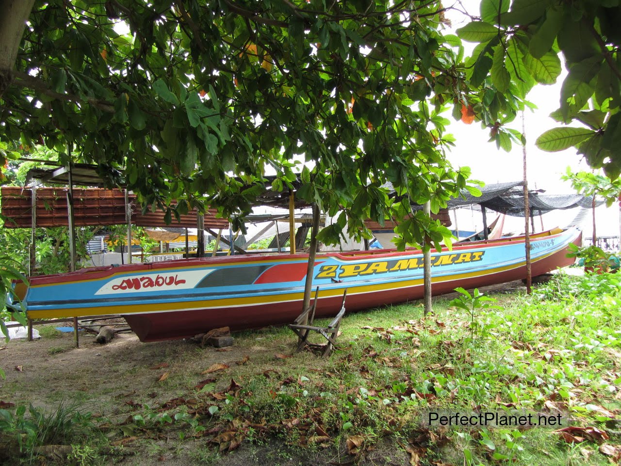 Barcas