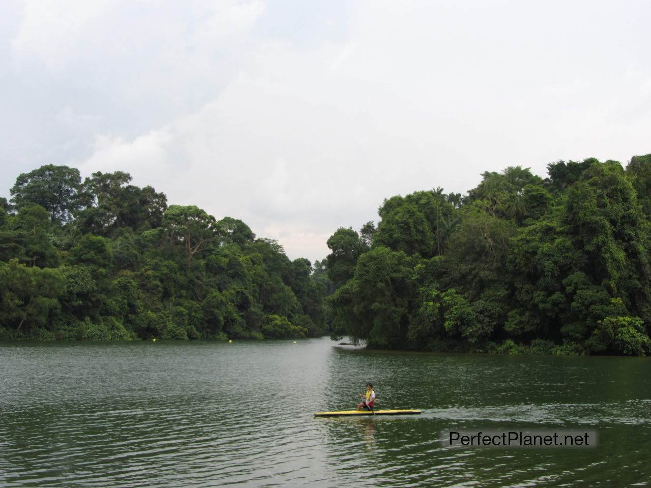 Bukit Timah Nature Reserve