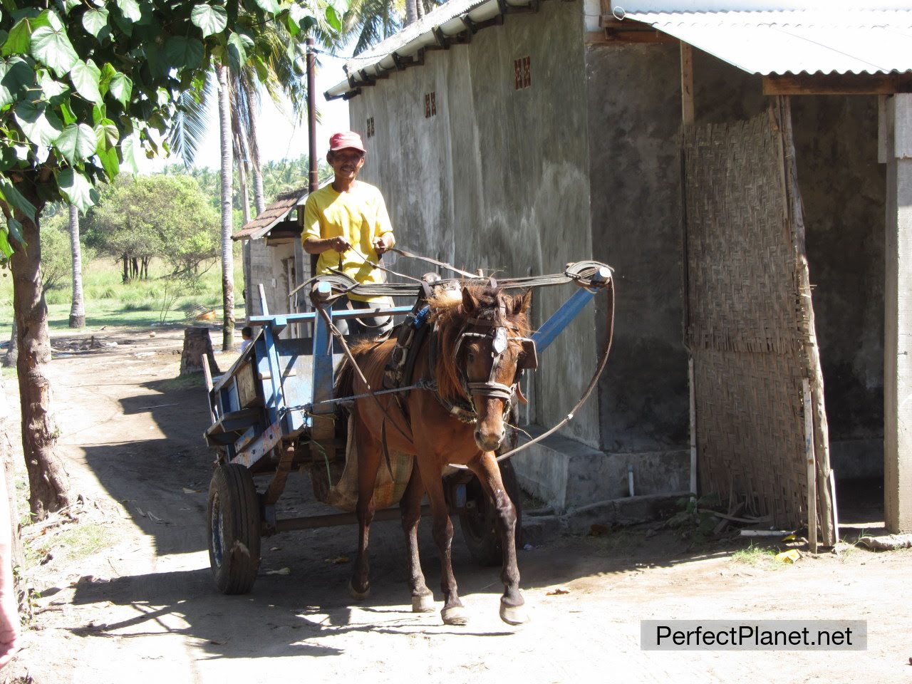 Carro de caballos