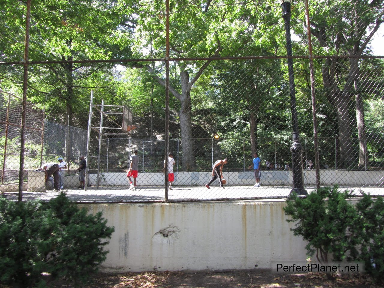 Baloncesto