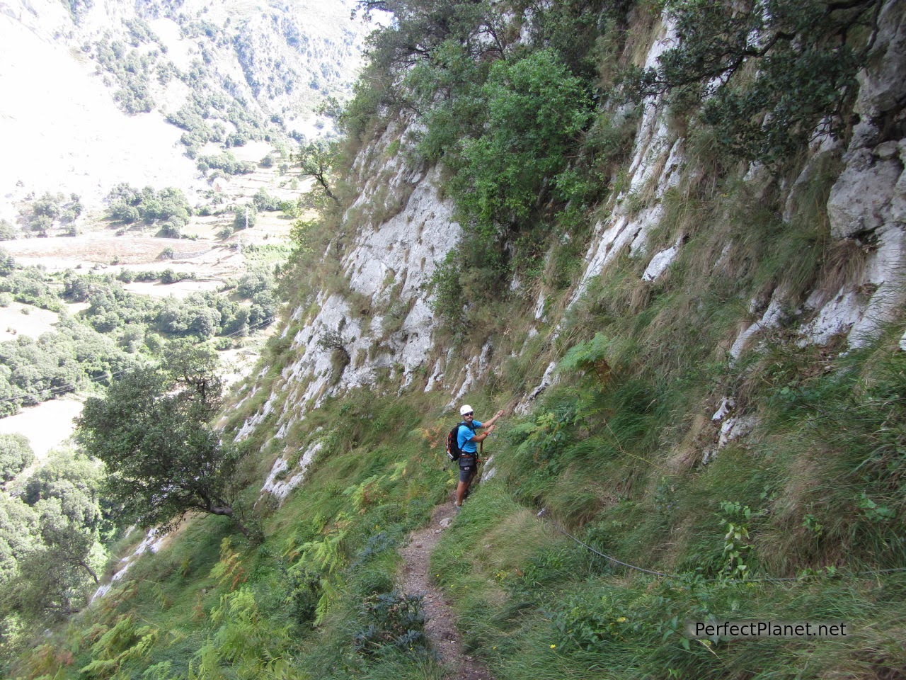 Tramo de bosque