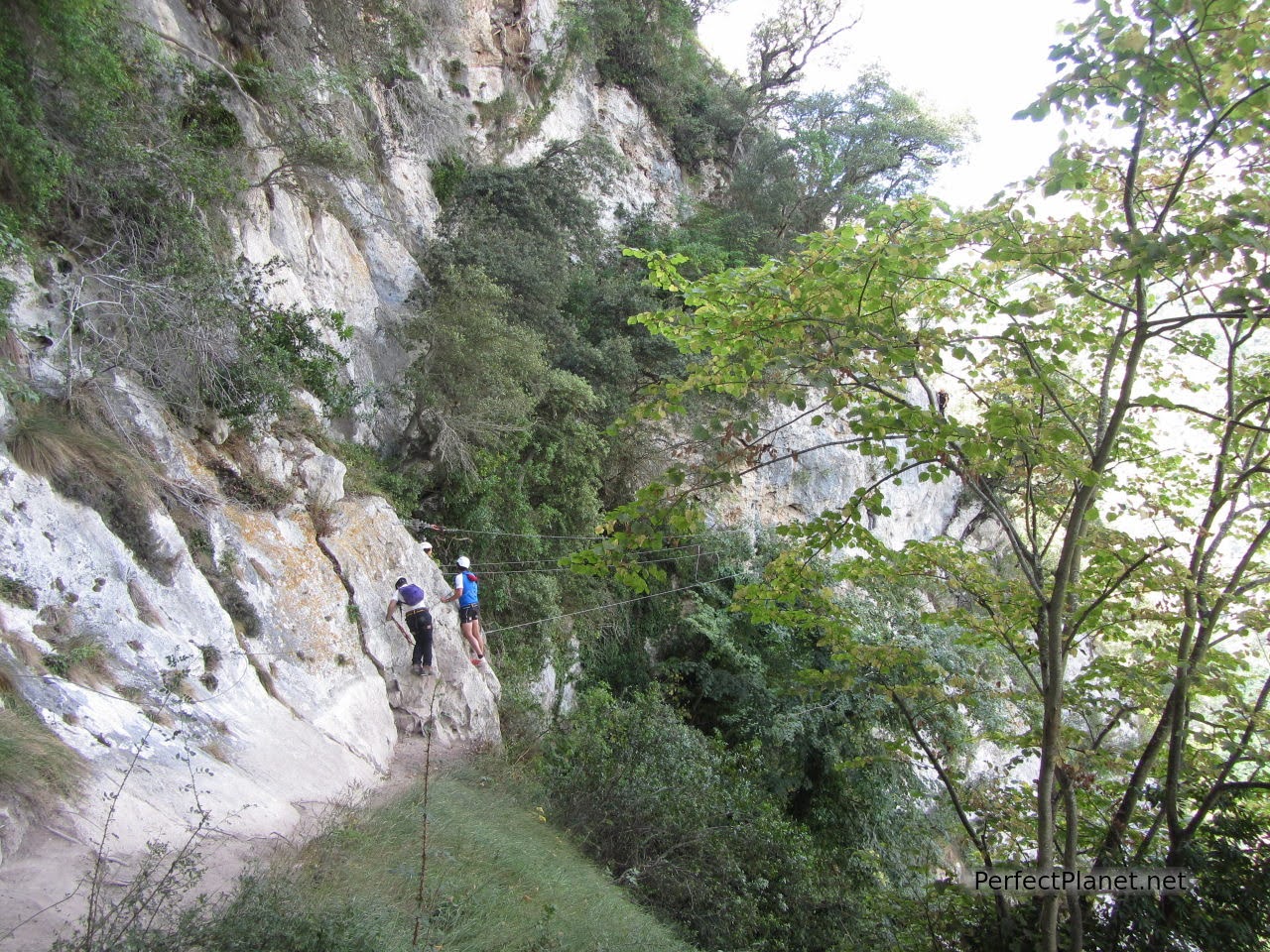 Puente tibetano