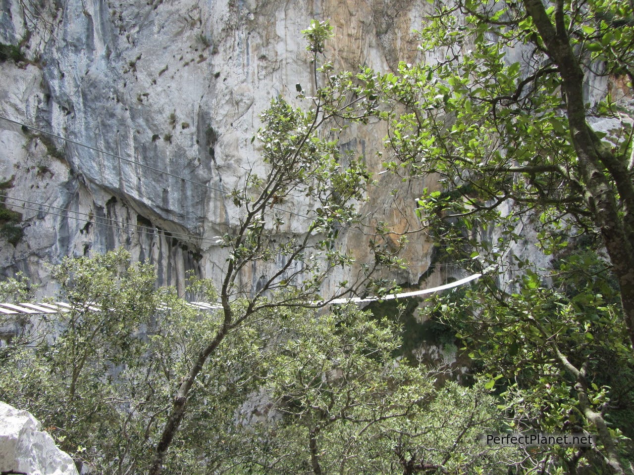 Suspension bridge