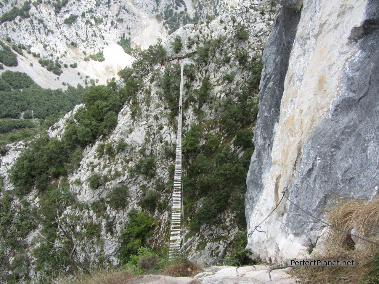 Suspension bridge