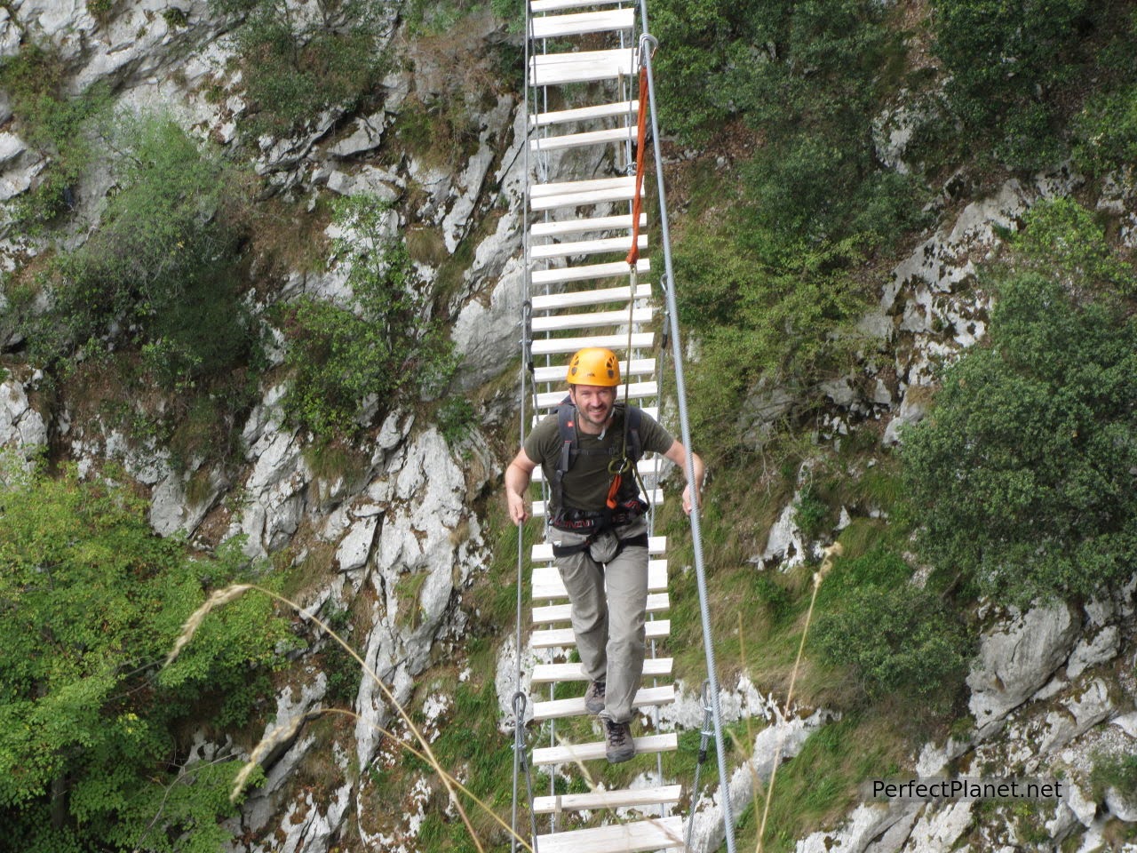 Suspension bridge