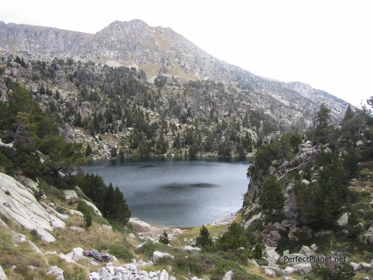 Estany Negre de Peguera