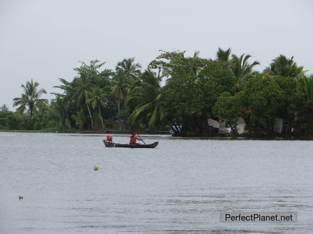 Backwaters