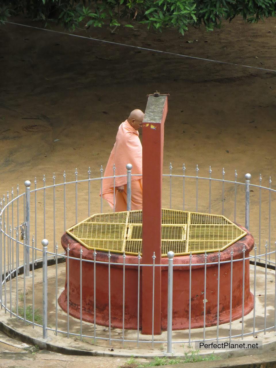 Nun in Ashram