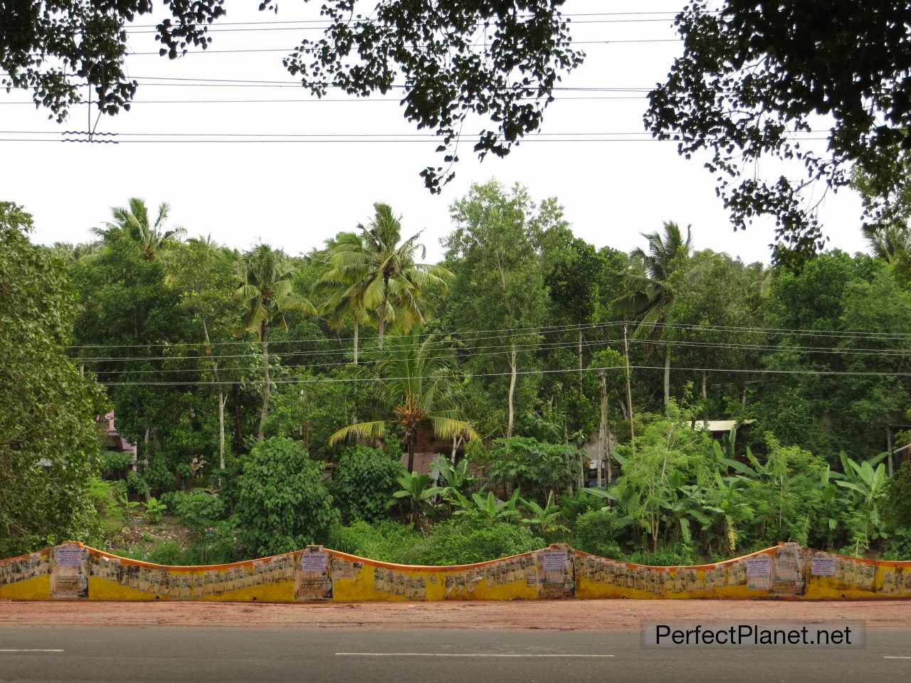 Alrededores de Varkala