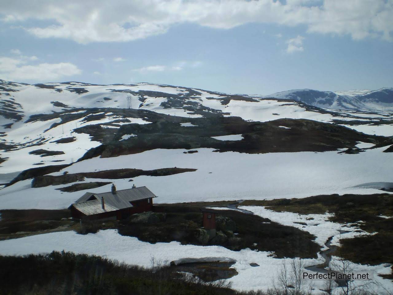 Train from Oslo to Bergen