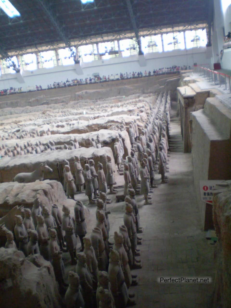 Guerreros de Terracota