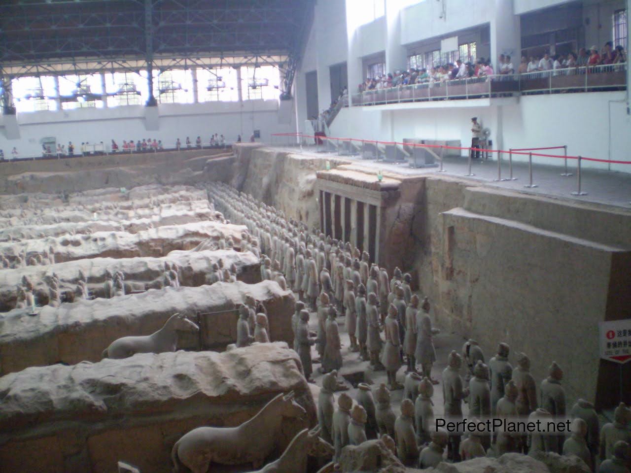 Guerreros de Terracota