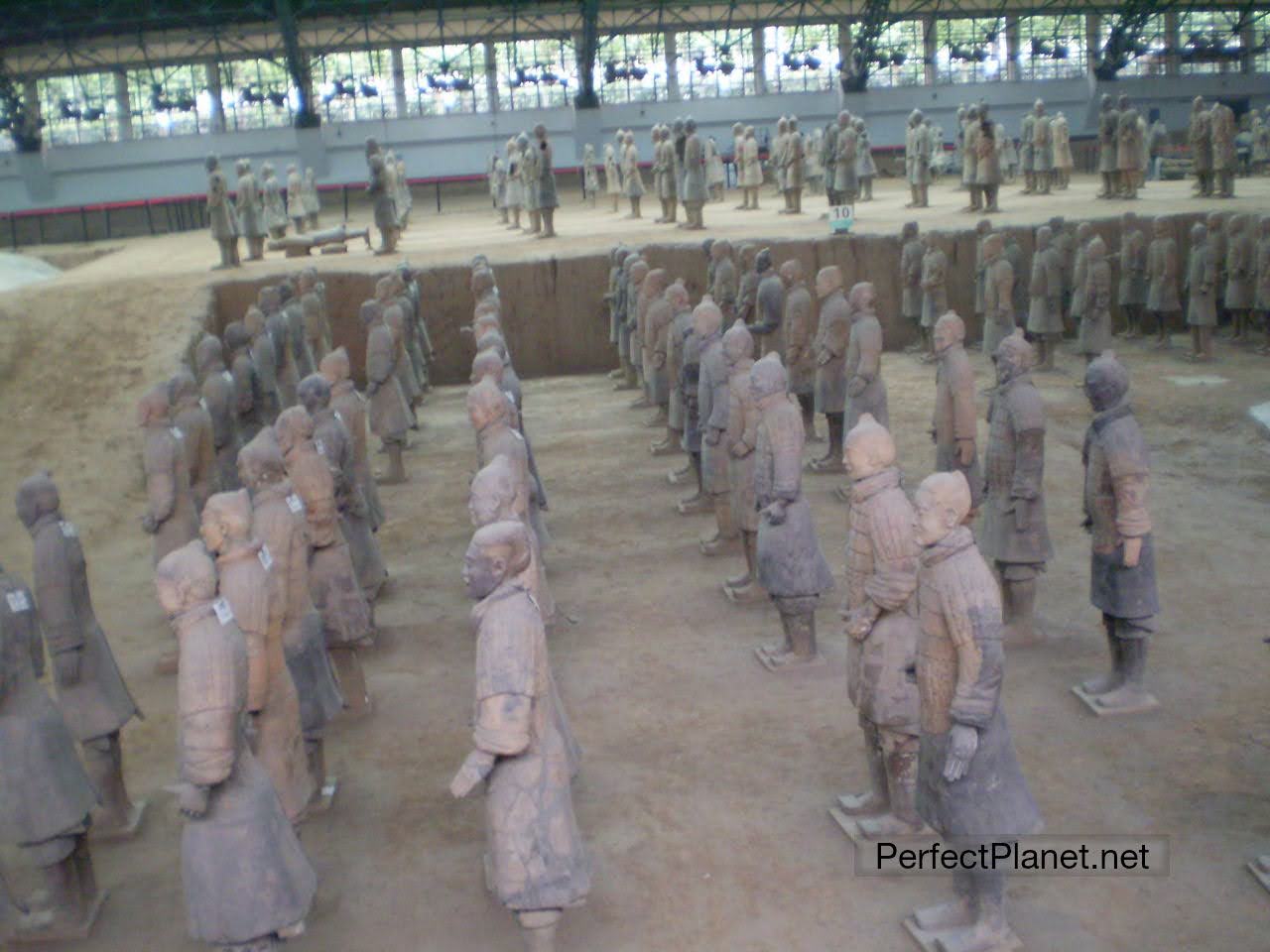 Guerreros de Terracota