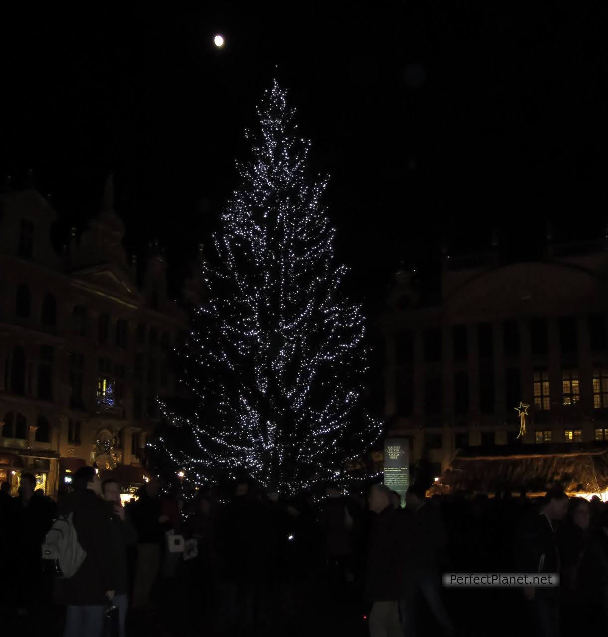 Arbol en Grand Place